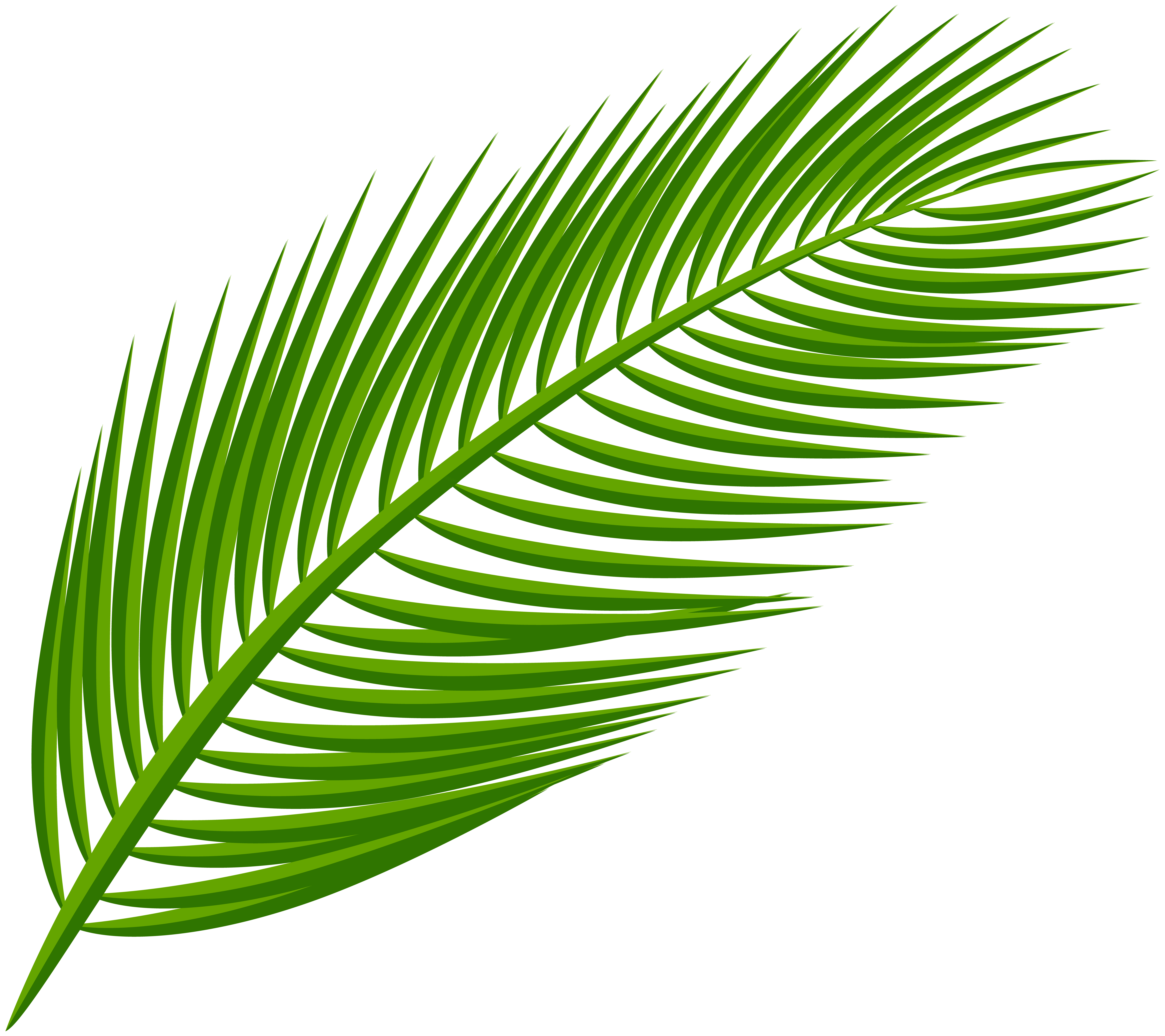 Palm Leaf Frame